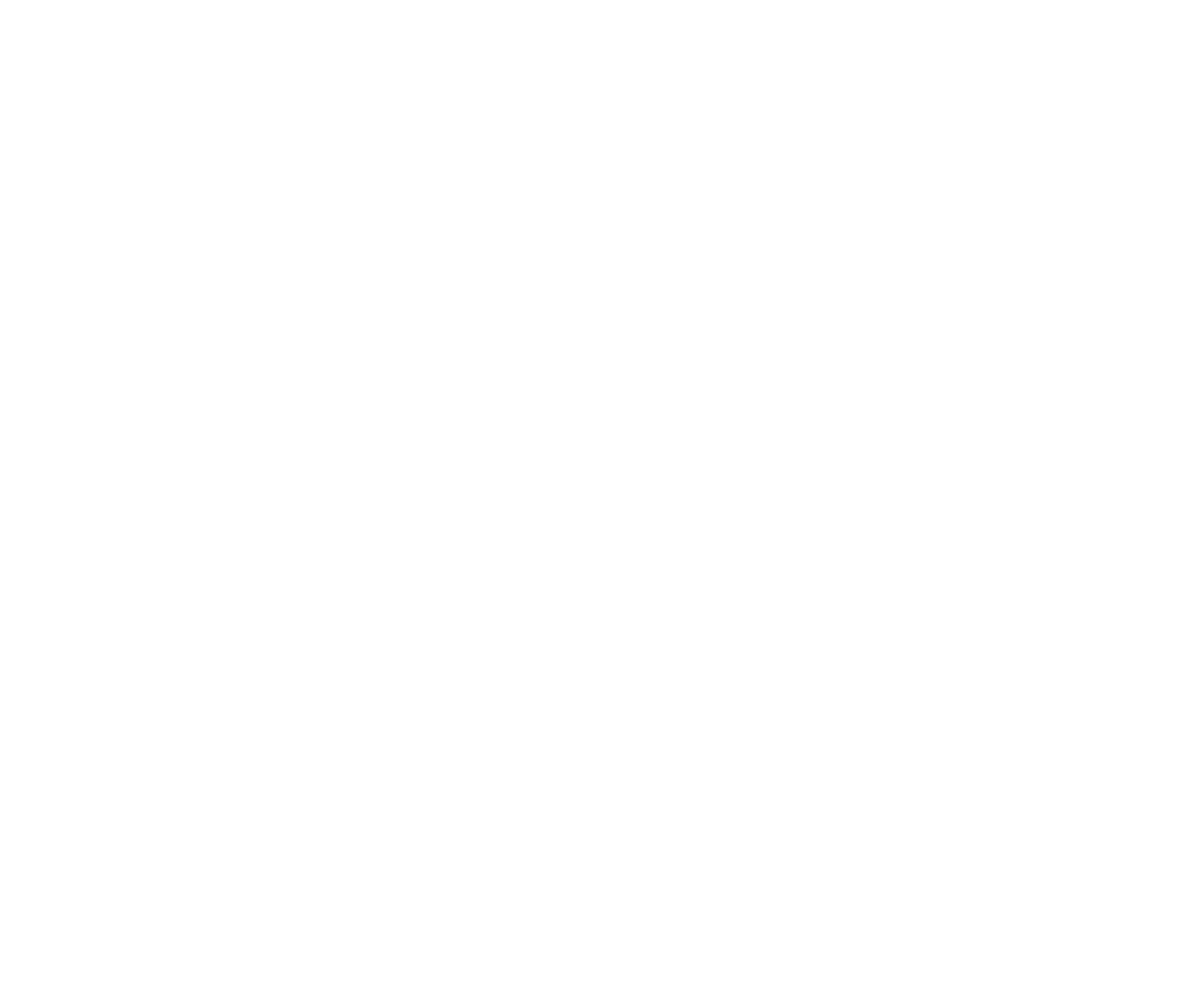 Logo FNTP